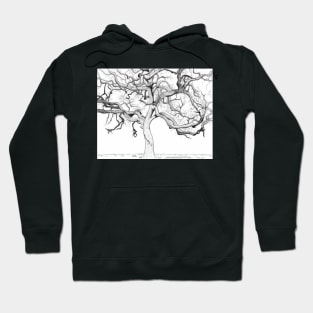 Wicked Oak Hoodie